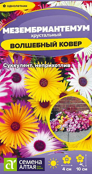 Цветы Мезембриантемум Волшебный ковер/Сем Алт/цп 0,05 гр.