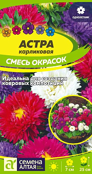 Цветы Астра Карликовая смесь окрасок/Сем Алт/цп 0,3 гр.