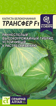 Капуста Трансфер F1/Сем Алт/цп 0,1 гр.р