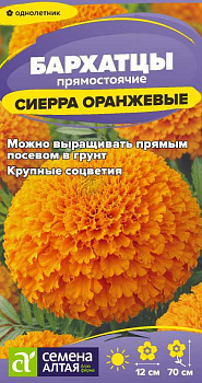 Цветы Бархатцы Сиерра Оранжевые/Сем Алт/цп 0,3 гр.