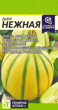 Дыня Нежная/Сем Алт/цп 0,5 гр.