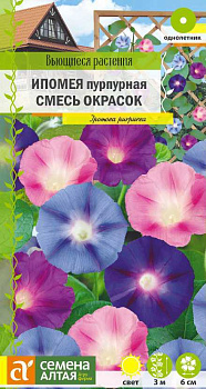 Цветы Ипомея Пурпурная смесь/Сем Алт/цп 0,5 гр. Вьющиеся растения