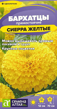 Цветы Бархатцы Сиерра Желтые/Сем Алт/цп 0,2 гр.