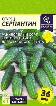 Огурец Серпантин/Сем Алт/цп 0,5 гр.р Сибирская Селекция!