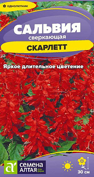 Цветы Сальвия Скарлетт сверкающая/Сем Алт/цп 0,1 гр.