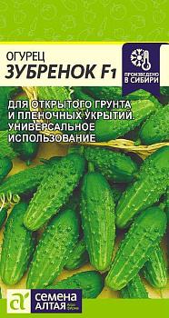 Огурец Зубренок F1/Сем Алт/цп 0,3 гр.р