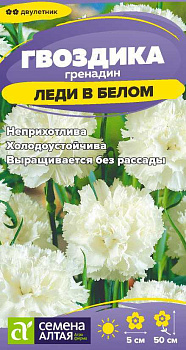 Цветы Гвоздика гренадин Леди в белом/Сем Алт/цп 0,05 гр. двулетник