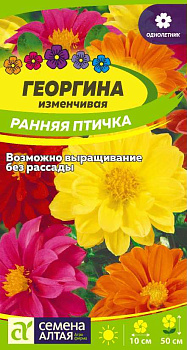 Цветы Георгина Ранняя Птичка/Сем Алт/цп 0,3 гр.