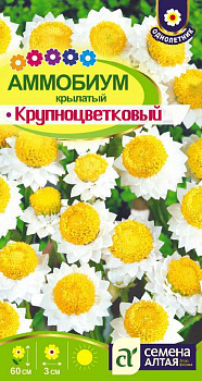 Цветы Аммобиум Крупноцветковый крылатый/Сем Алт/цп 0,2 гр. 