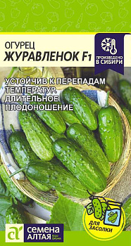 Огурец Журавленок F1/Сем Алт/цп 0,3 гр.р