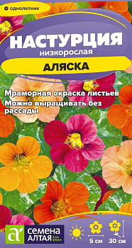 Цветы Настурция Аляска низкорослая/Сем Алт/цп 0,5 гр.