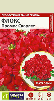 Цветы Флокс Промис Скарлет махровый/Сем Алт/цп 5 шт.