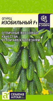 Огурец Изобильный F1/Сем Алт/цп 0,3 гр.р