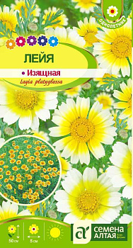 Цветы Лейа изящная/Сем Алт/цп 0,1гр. НОВИНКА