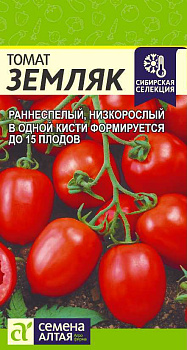 Томат Земляк/Сем Алт/цп 0,1 гр. Сибирская Селекция!