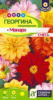 Цветы Георгина Монарх смесь полумахровая/Сем Алт/цп 0,2 гр. 