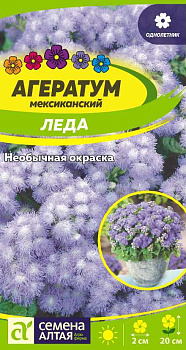 Цветы Агератум Леда/Сем Алт/цп 0,1 гр.