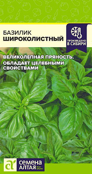 Зелень Базилик Широколистный/Сем Алт/цп 0,2 гр.