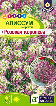Цветы Алиссум Розовая Королева/Сем Алт/цп 0,1 гр.