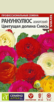 Цветы Ранункулюс Цветущая Долина Смесь /Сем Алт/цп 5 шт. многолетник