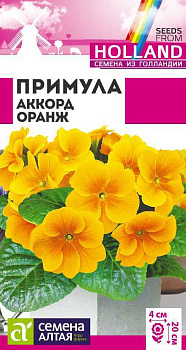 Цветы Примула Аккорд Оранж/Сем Алт/цп 5 шт двулетник Голландия НОВИНКА