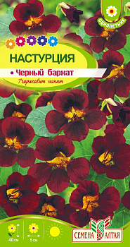 Цветы Настурция Черный бархат/Сем Алт/цп 1 гр.