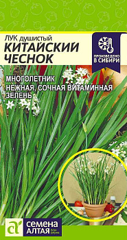 Лук Душистый Китайский Чеснок/Сем Алт/цп 0,5 гр НОВИНКА!