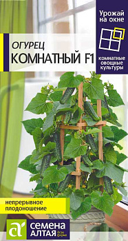 Огурец Комнатный/Сем Алт/цп 5 шт. УРОЖАЙ НА ОКНЕ!