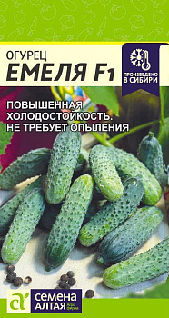Огурец Емеля F1/Сем Алт/цп 5 шт.р