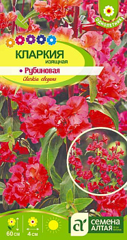 Цветы Кларкия Рубиновая изящная/Сем Алт/цп 0,2 гр.