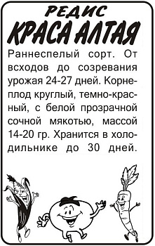 Редис Краса Алтая/Сем Алт/бп 2 гр. Сибирская Селекция!