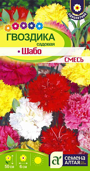 Цветы Гвоздика Шабо Смесь садовая/Сем Алт/цп 0,1 гр.