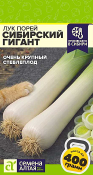 Лук Порей Сибирский Гигант/Сем Алт/цп 0,5 гр. СЕРИЯ СИБИРСКИЕ ГИГАНТЫ!