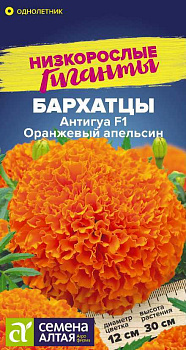Цветы Бархатцы Антигуа F1 Оранжевый апельсин/Сем Алт/цп 5 шт. Низкорослые гиганты