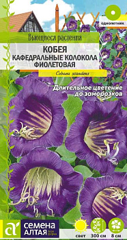 Цветы Кобея Кафедральные колокола фиолетовая лазающая/Сем Алт/цп 5 шт. Вьющиеся растения