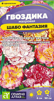 Цветы Гвоздика Шабо Фантазия смесь садовая/Сем Алт/цп 0,05 гр.