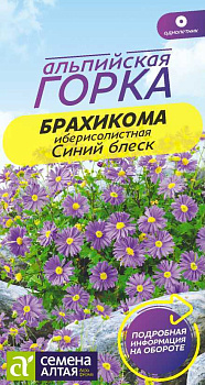 Цветы Брахикома Синий блеск/Сем Алт/цп 0,05 гр.