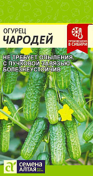 Огурец Чародей F1/Сем Алт/цп 6 шт.р