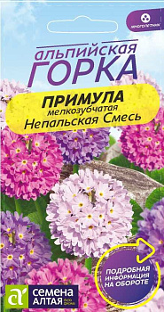 Цветы Примула Непальская зубчатая/Сем Алт/цп 0,02 гр. многолетник
