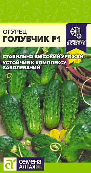 Огурец Голубчик F1/Сем Алт/цп 0,3 гр.р