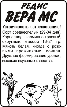 Редис Вера/Сем Алт/бп 2 гр.