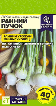 Лук на зелень и мини-головку Ранний Пучок/Сем Алт/цп 0,3 гр.