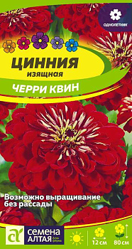 Цветы Цинния Черри Квин изящная/Сем Алт/цп 0,3 гр.