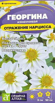 Цветы Георгина Отражение Нарцисса/Сем Алт/цп 0,2 гр.