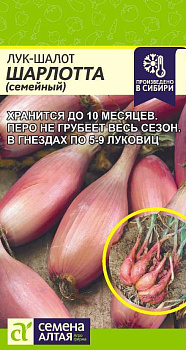 Лук Шалот Шарлотта/Сем Алт/цп 0,3 гр. 