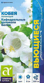 Цветы Кобея Кафедральные колокола белая лазающая/Сем Алт/цп 5 шт. Вьющиеся растения