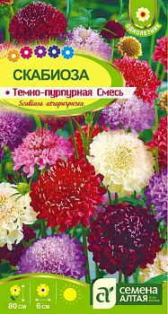 Цветы Скабиоза Темно-Пурпурная смесь/Сем Алт/цп 0,3 гр.