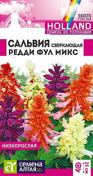Цветы Сальвия Редди Фулл микс сверкающая/Сем Алт/цп 5 шт.