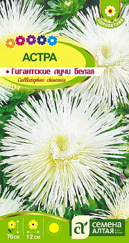 Цветы Астра Гигантские лучи Белая/Сем Алт/цп 0,2 гр.