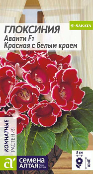 Цветы Глоксиния Аванти F1 Красная с белым краем/Сем Алт/цп 8 шт.